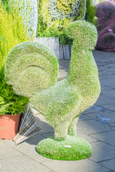 Similar image 21130568