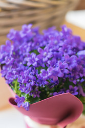 Similar image 21130576