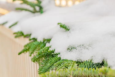 Similar image 21131371