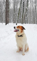 Similar image 21113340