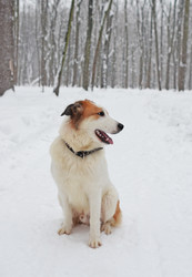 Similar image 21113342