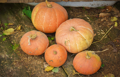 Similar image 21114201