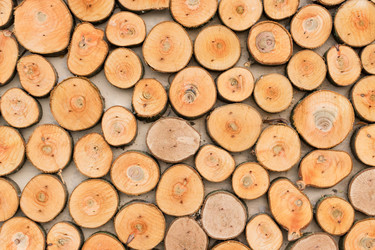 Similar image 21128256