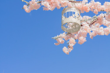 Similar image 21128260