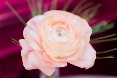 Similar image 21130591