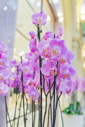 Similar image 21131524