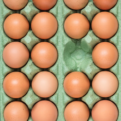 Similar image 21131537