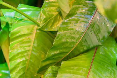 Similar image 21131543