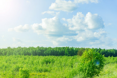 Similar image 21131545