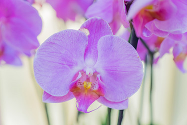 Similar image 21131553