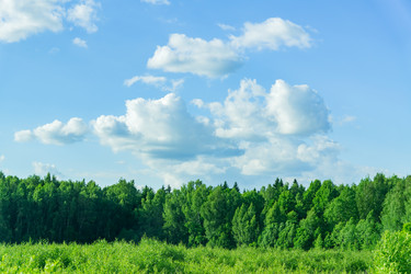 Similar image 21131567