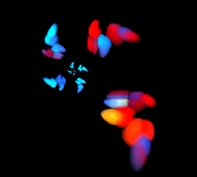 Similar image 21130715