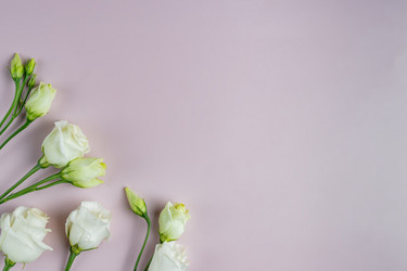 Similar image 21128276