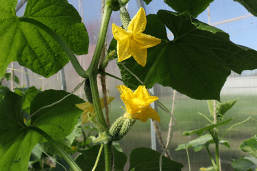 Similar image 21114203