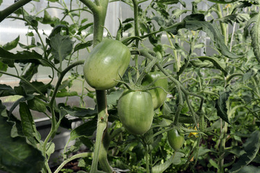 Similar image 21114239