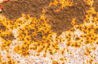 Similar image 21112640