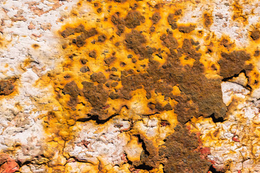 Similar image 21112653