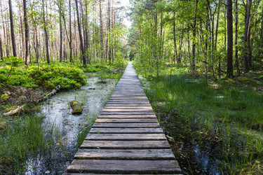 Similar image 21112855