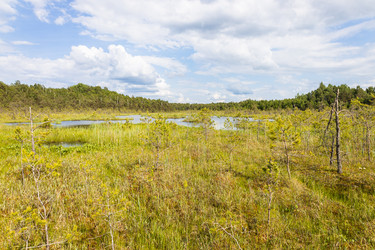 Similar image 21112857