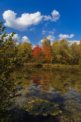 Similar image 21115488