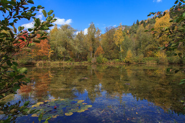 Similar image 21115490