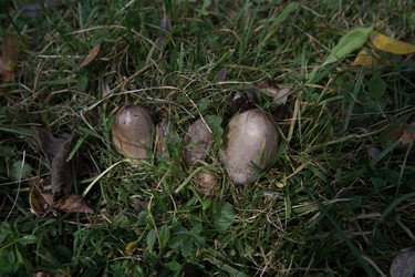 Similar image 21115493