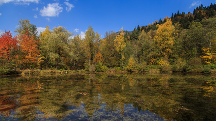 Similar image 21115495