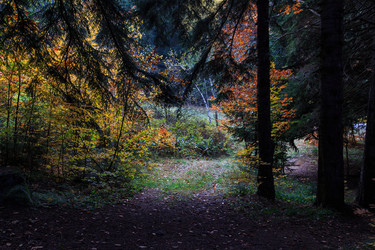 Similar image 21115499