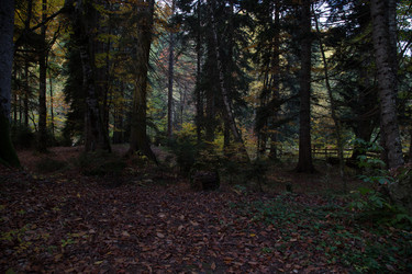 Similar image 21115500