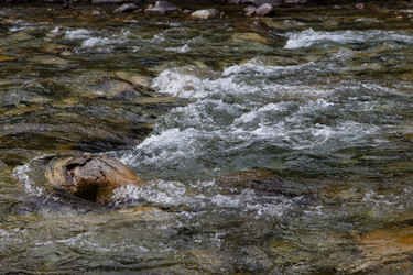 Similar image 21115501