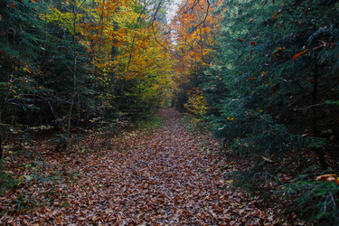 Similar image 21115502