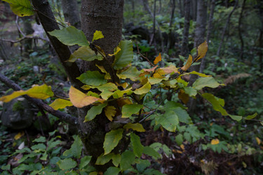 Similar image 21115503