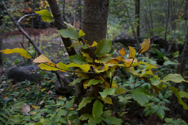 Similar image 21115507