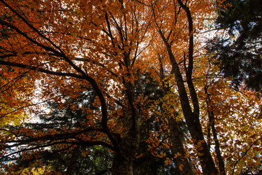 Similar image 21115510