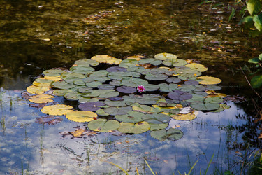 Similar image 21115511