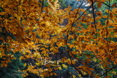 Similar image 21115513