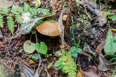 Similar image 21115515