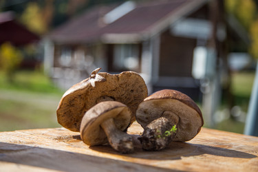 Similar image 21115516