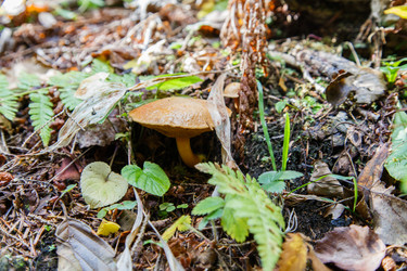 Similar image 21115517