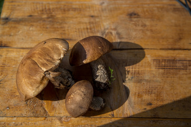 Similar image 21115518