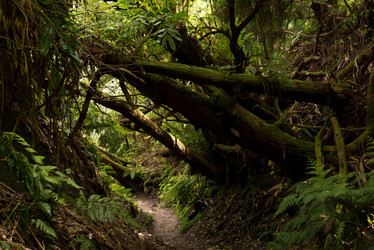 Similar image 21114204