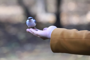 Similar image 21114423