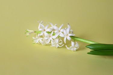 Similar image 21114180