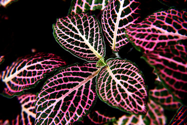 Similar image 21114181