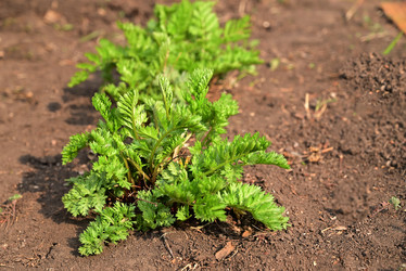 Similar image 21114182