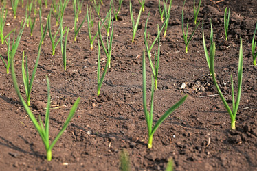 Similar image 21114183