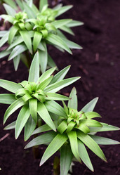 Similar image 21114186