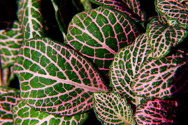 Similar image 21114189