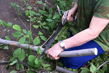 Similar image 21114190