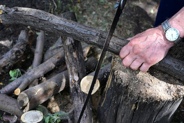 Similar image 21114194